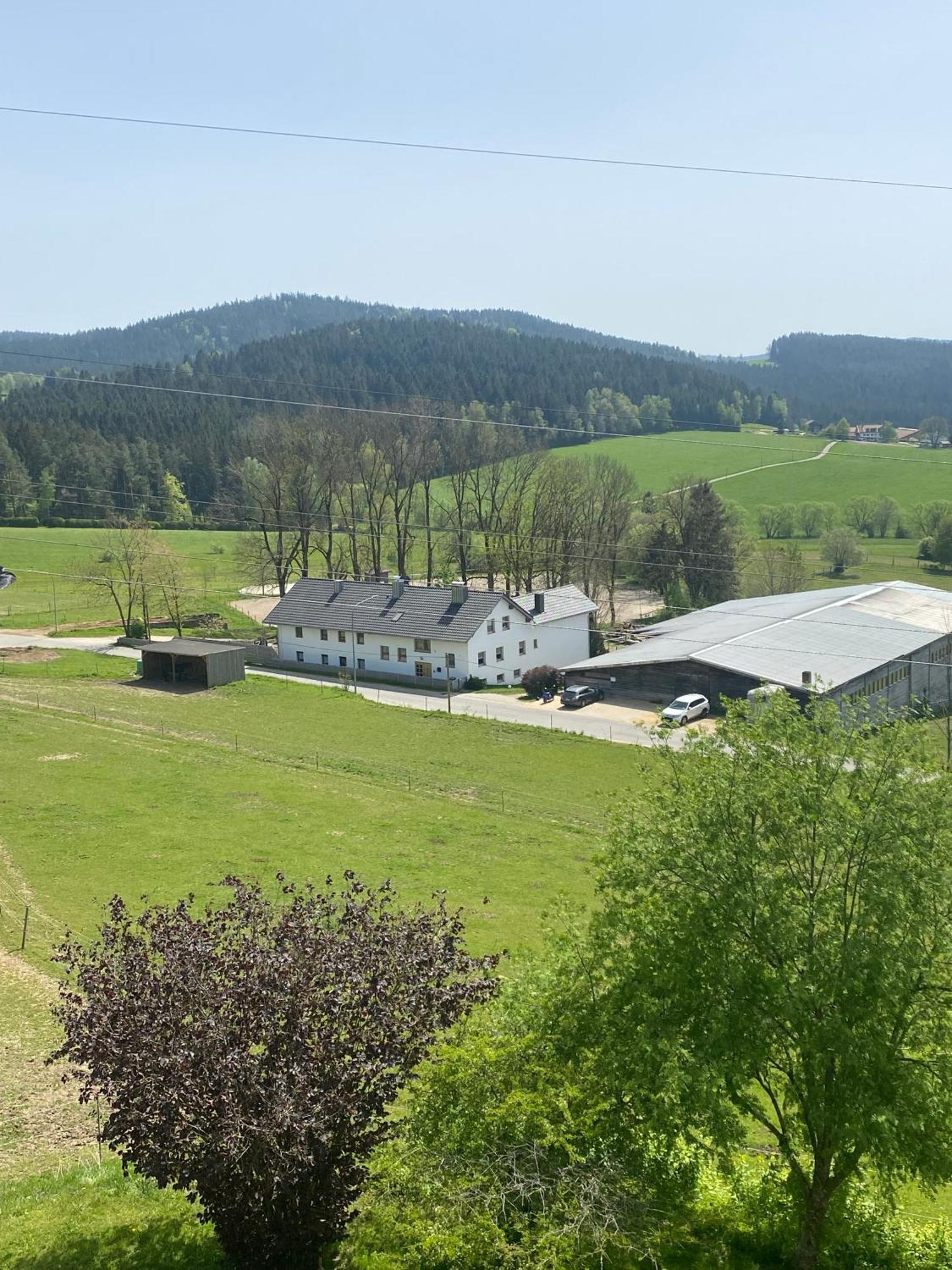 Apartmán Lussen Regen Exteriér fotografie