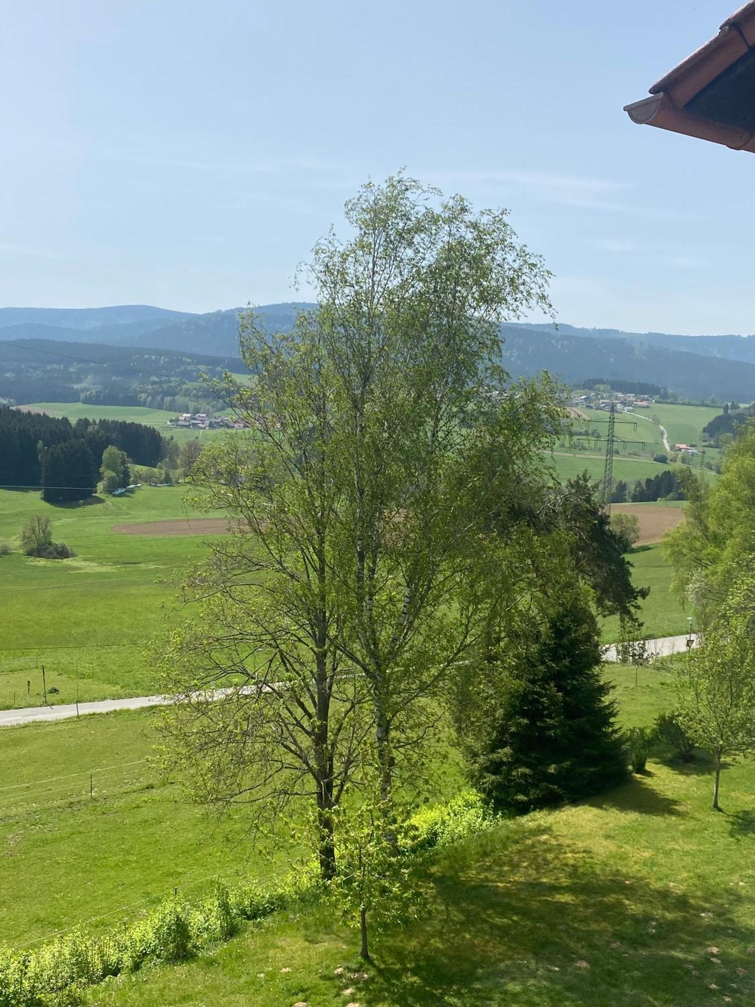 Apartmán Lussen Regen Exteriér fotografie
