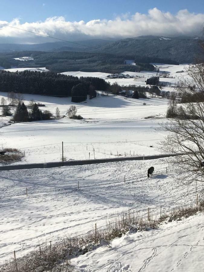 Apartmán Lussen Regen Exteriér fotografie