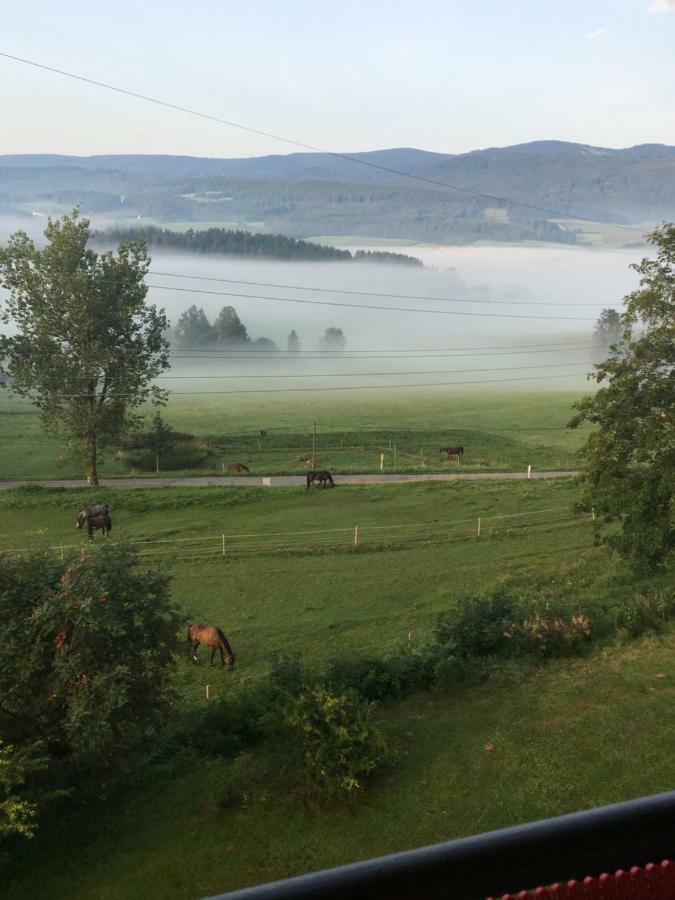 Apartmán Lussen Regen Exteriér fotografie